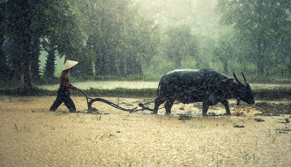 Agricultor bajo la lluvia — Foto de Stock
