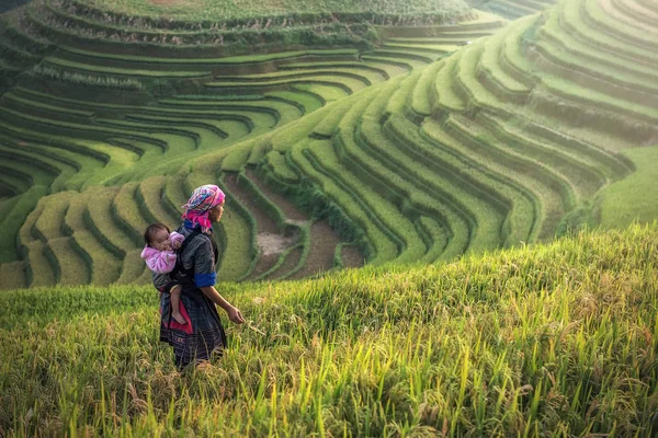 Madre e figlio Hmong, che lavorano alle terrazze di riso — Foto Stock
