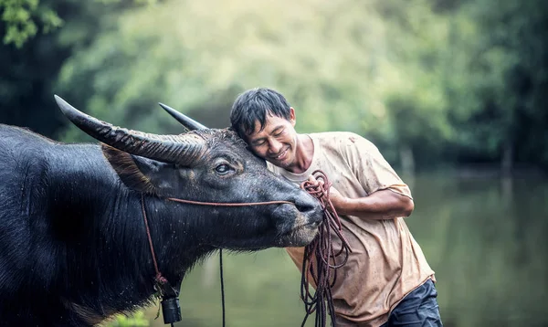 Asian farmer and water buffalo in farm — Stock Photo, Image