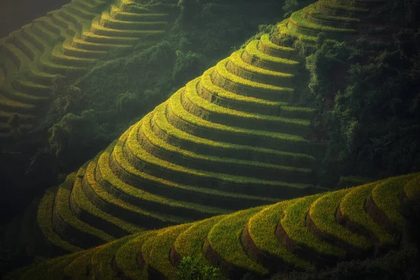 Vietnam Campos de arroz en terrazas en temporada de lluvias — Foto de Stock