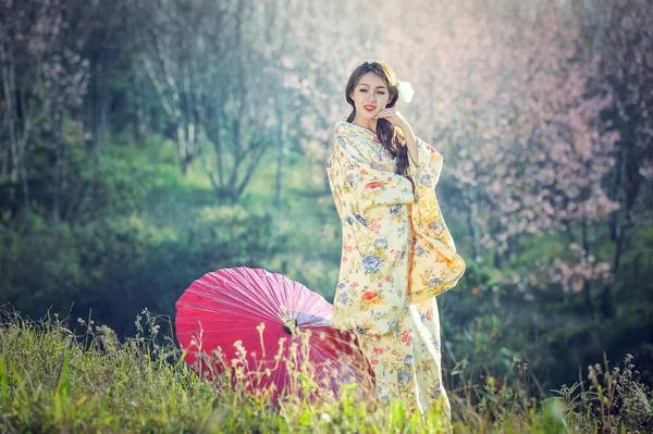 Asiático mulheres vestindo tradicional japonês quimono — Fotografia de Stock