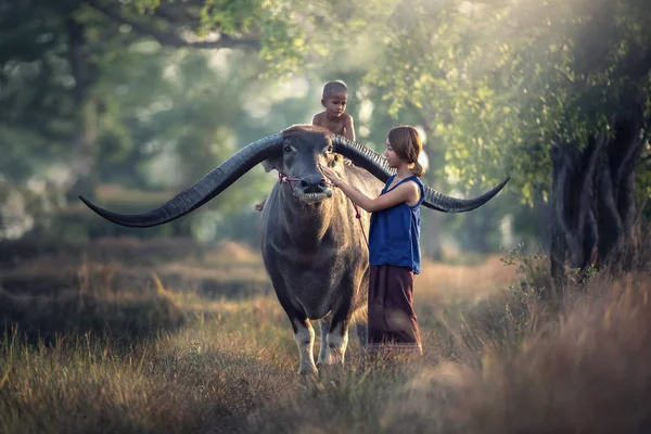 Asiatisk kvinna bonde med son rider en buffel — Stockfoto