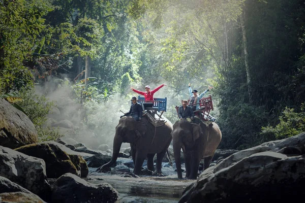 Trekking elefante nella giungla nel nord del Laos — Foto Stock