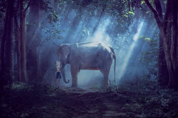 Vriendschap Tussen Kinderen Met Olifant Het Platteland Van Thailand — Stockfoto