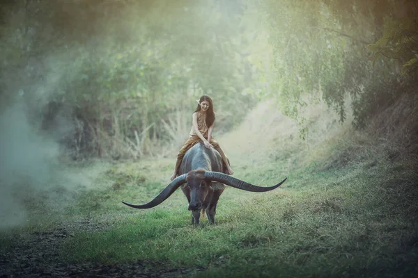 Las Mujeres Del Pueblo Con Búfalos Campo —  Fotos de Stock