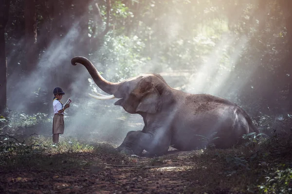 Studenti Thailandia Rurale Lettura Libri Con Elefanti Surin Thailandia — Foto Stock