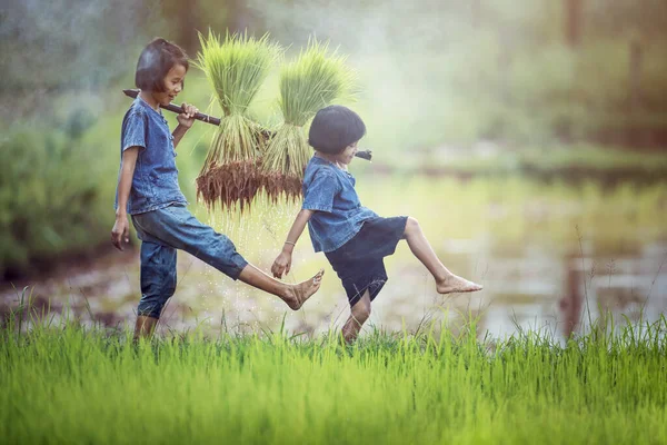 Asiático Niños Agricultor Arroz Campo Imágenes de stock libres de derechos