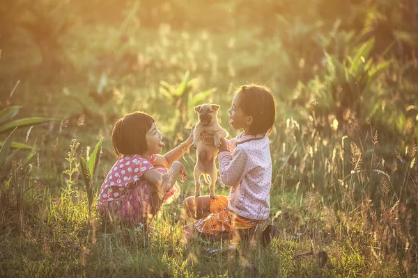 Asyalı Kız Çocuklar Güneş Işığı Altında Parkta Köpekle Oynuyorlar Tayland — Stok fotoğraf