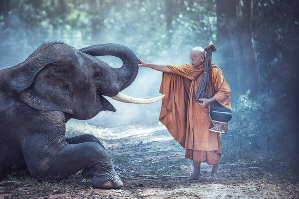 Таиландские буддийские монахи со слоном традиционно религии буддизма на веру тайский народ
