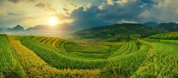 Campos Arroz Terrazas Cang Chai Yenbai Vietnam Vietnam Paisajes —  Fotos de Stock