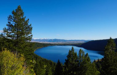 Mavi, bu yaz Grand Tetons Ulusal Parkı 'ndaki bir dağ gölünün yeşil ışıklarıyla buluşuyor..