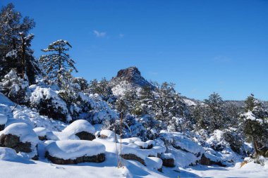 Baş parmak Butte 'un güzelliği Kuzey Orta Arizona' da erken dönem kar yağışından sonra.
