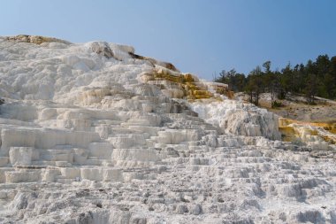 Mamut Kaplıcalarından birinin manzara manzarası termal şelaleler ve oluşumlar.