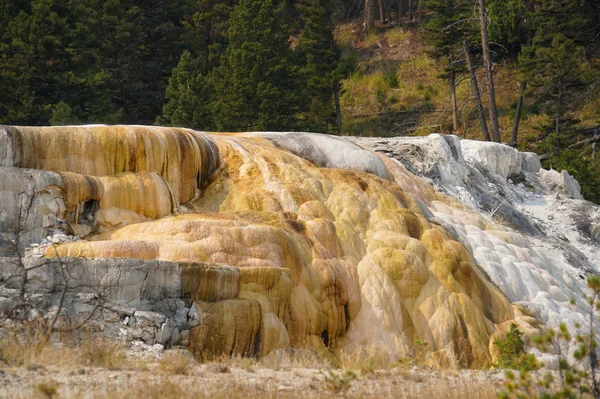 Uma Cachoeira Térmica Formação Que Ela Criou Meio Uma Floresta — Fotografia de Stock