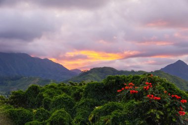A beautiful sunset colors the sky over the mountains and rainforest on the Windward side of Oahu, Hawaii clipart