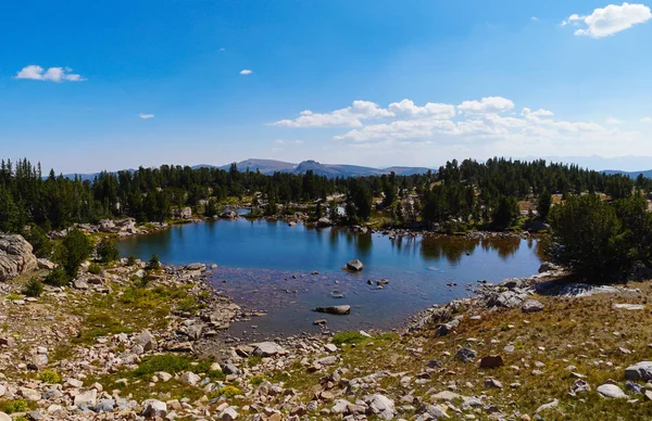 Les Eaux Calmes Lac Haute Montagne Reflètent Les Roches Forêt — Photo