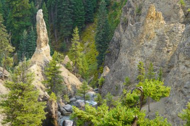 Şelaleden kısa bir süre önce Tower Creek 'in üzerinde alışılmadık şekilli bir kaya kulesi duruyor..