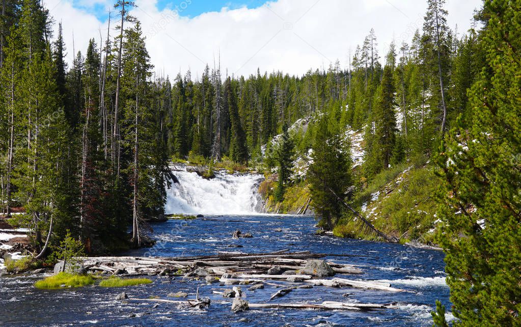 A wide view of Lewis Falls in Yellowstone National Park shows the size and power of the falls and the river laden with fallen trees.