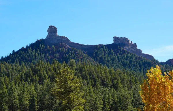 コロラド州パゴサスプリングスの美しい山には両側に厚い森があり その上に煙突ロックがあります — ストック写真