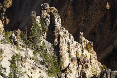 Erozyon Yellowstone 'un Büyük Kanyonu' nun duvarlarında güzel ve dramatik kireçtaşı kuleler oluşturdu.