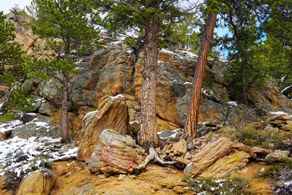 Los Coloridos Árboles Rocas Que Crean Hermoso Paisaje Finales Otoño —  Fotos de Stock