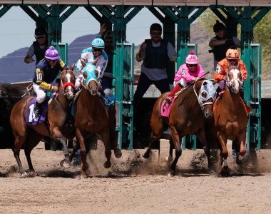 Prescott Valley, Arizona/USA - September 1, 2019 : Jockeys and horses compete for track space as they come out of the gate during the beginning of a race at Arizona Downs.
