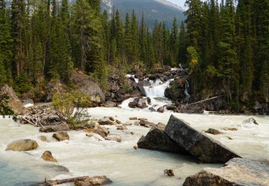 Bir orman şelalesi hızlı akan bir nehri besliyor. Bu güç, yoluna büyük kayalar getirdi..