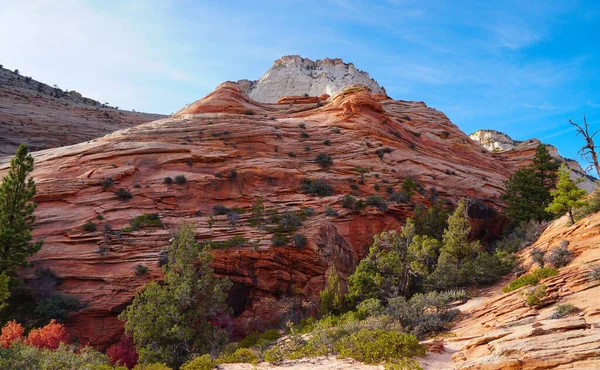 Zion Ulusal Parkı Ndaki Kumtaşı Kayalıklarının Güzel Renkleri Dokuları Çevreleyen — Stok fotoğraf