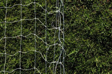Futbol sahasındaki ışıkların önünde ağ var..