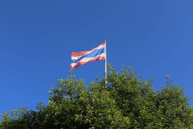 Tayland bayrağının önünde bir ağaç var..