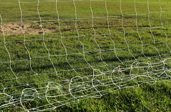Goal Football Net Green Grass — Stock Photo, Image