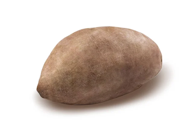 Сладкий картофель на белом фоне — стоковое фото