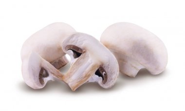 petrol beyaz bir arka plan üzerinde izole