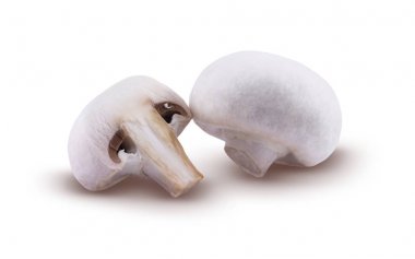 petrol beyaz bir arka plan üzerinde izole