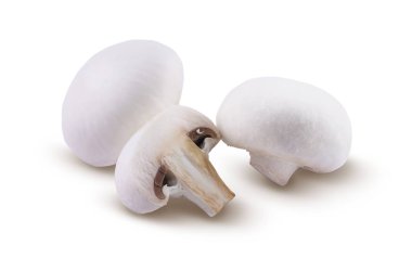 petrol beyaz bir arka plan üzerinde izole