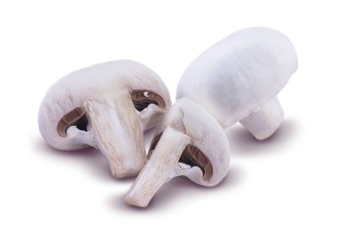 petrol beyaz bir arka plan üzerinde izole 