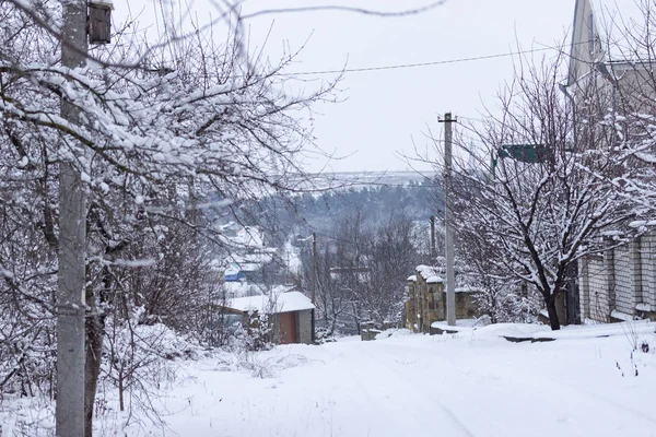 Cor Noz Coberta Com Neve — Fotografia de Stock