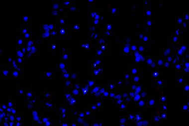 Bokeh mavisi bulanık ışıklar soyut renk.