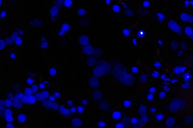 Bokeh mavisi bulanık ışıklar soyut renk.