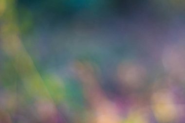 Ilık ışıkla mavimsi Doğal arkaplan.