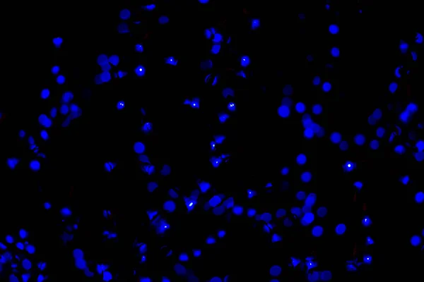 Голубые размытые огни Боке . — стоковое фото