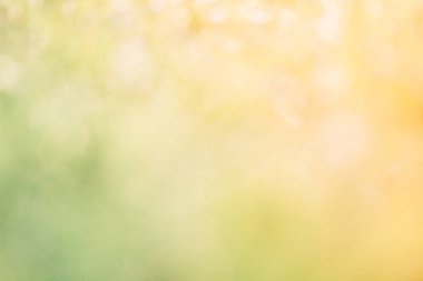 Bokeh görüntüsü sabahleyin arka planda.