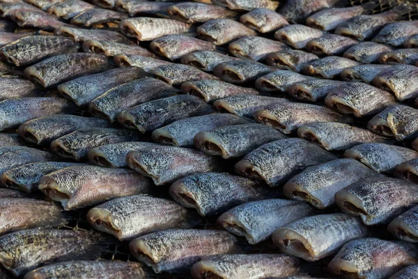 Pla salid zusammengesetzt, um durch Sonneneinstrahlung zu trocknen thailändische Sprache ist — Stockfoto