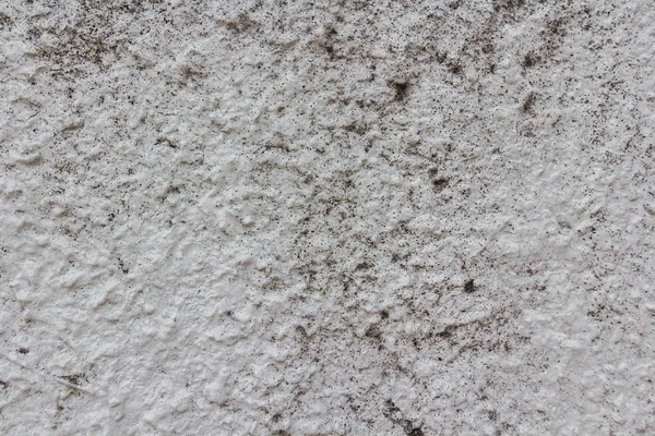 The surface of the white cement wall. — Stok fotoğraf