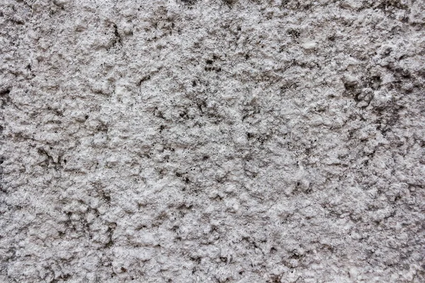 The surface of the white cement wall. — Stock Photo, Image