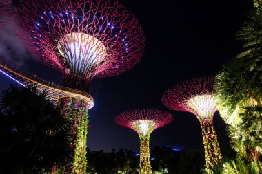 Singapur - 27 Temmuz 2019: Si Körfezi yakınlarındaki Bahçeler Süperağacı