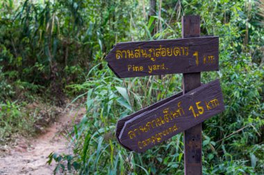 Phu Soi Dao Ulusal Parkı içinde turist rehberi Tambon Huai Mun, Amphoe Nam Pat, Uttaradit, Tayland: 15 Eylül 2018