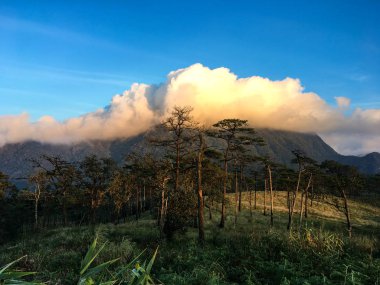 Phu Soi Dao Milli Parkı 'nda çam ağaçları, çayırlar, dağlar ve akşam güneşiyle turistik bir yer..