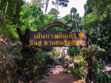 Phu Soi Dao Ulusal Parkı içinde turist rehberi Tambon Huai Mun, Amphoe Nam Pat, Uttaradit, Tayland: 15 Eylül 2018