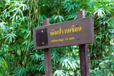 Phu Soi Dao Ulusal Parkı içinde turist rehberi Tambon Huai Mun, Amphoe Nam Pat, Uttaradit, Tayland: 15 Eylül 2018